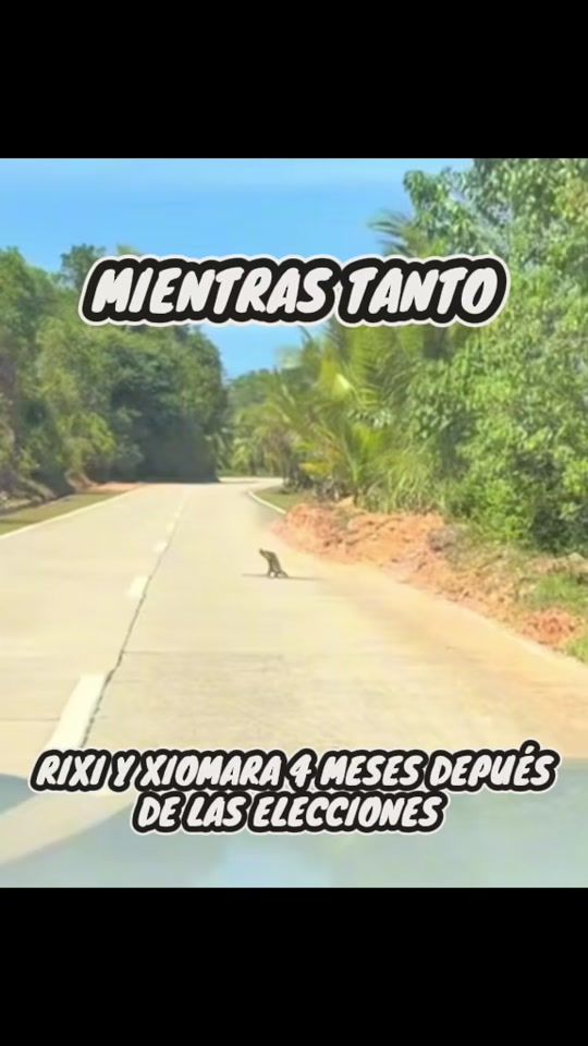 TikTok video thumbnail by foxhn504