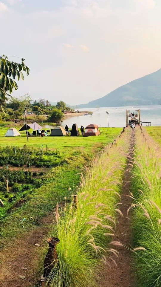 TikTok video thumbnail by maepungcamping