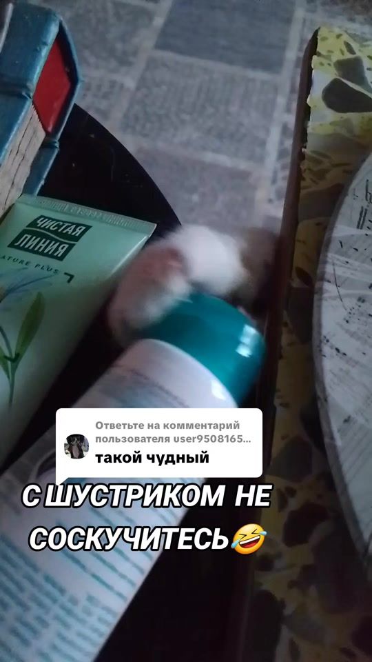 TikTok video thumbnail by marinka20_09