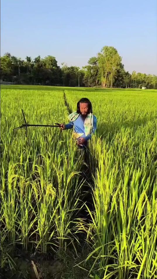 TikTok video thumbnail by mdhabeluddin1