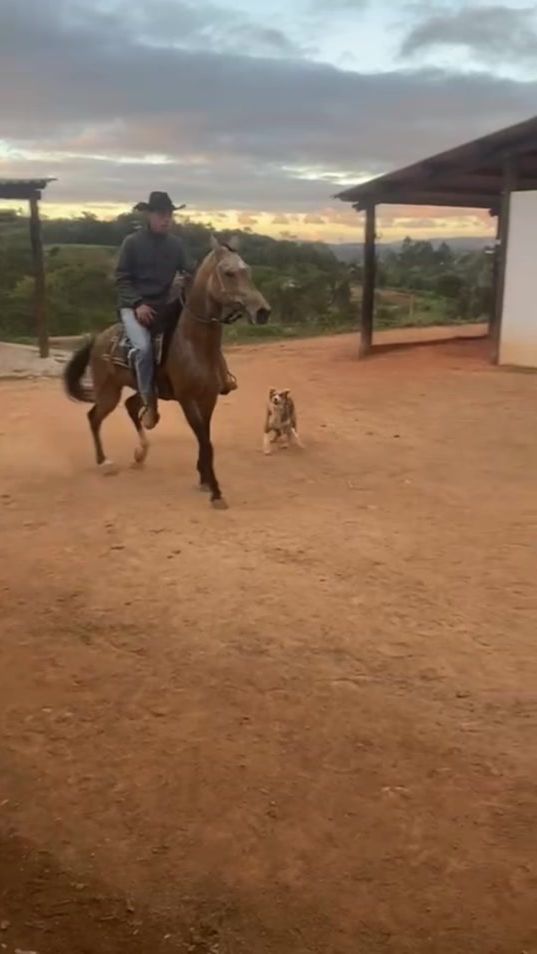 TikTok video thumbnail by vini.muladeiro