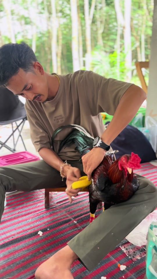 TikTok video thumbnail by rattanakornyongse