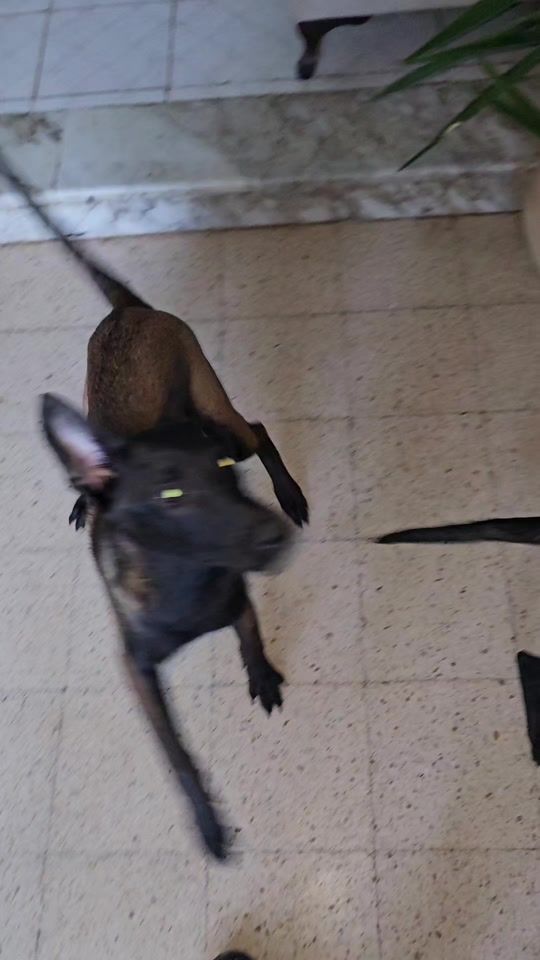 TikTok video thumbnail by seifkhedher