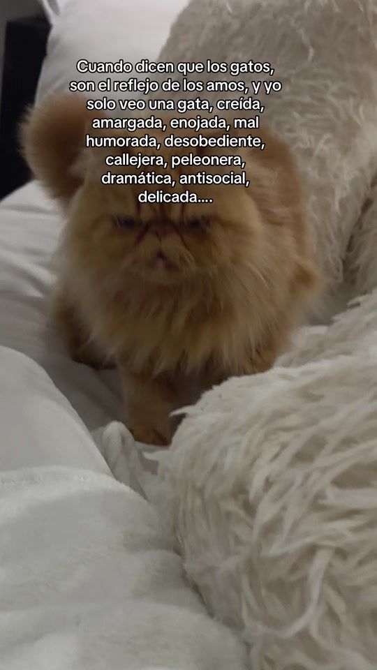 TikTok video thumbnail by neia_ci