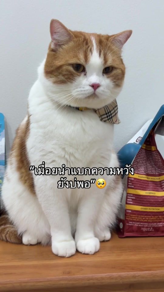 TikTok video thumbnail by _callme_arthur