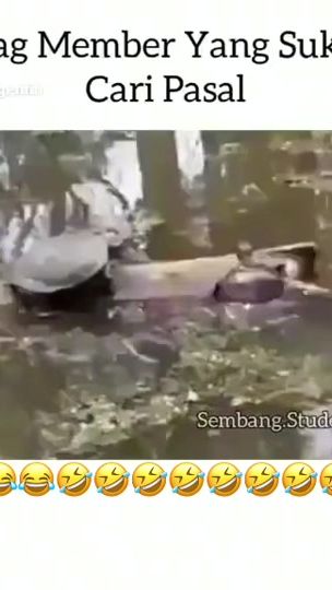 TikTok video thumbnail by sheenajss