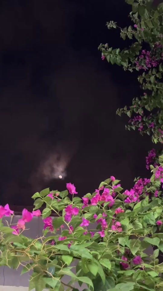 TikTok video thumbnail by n973449
