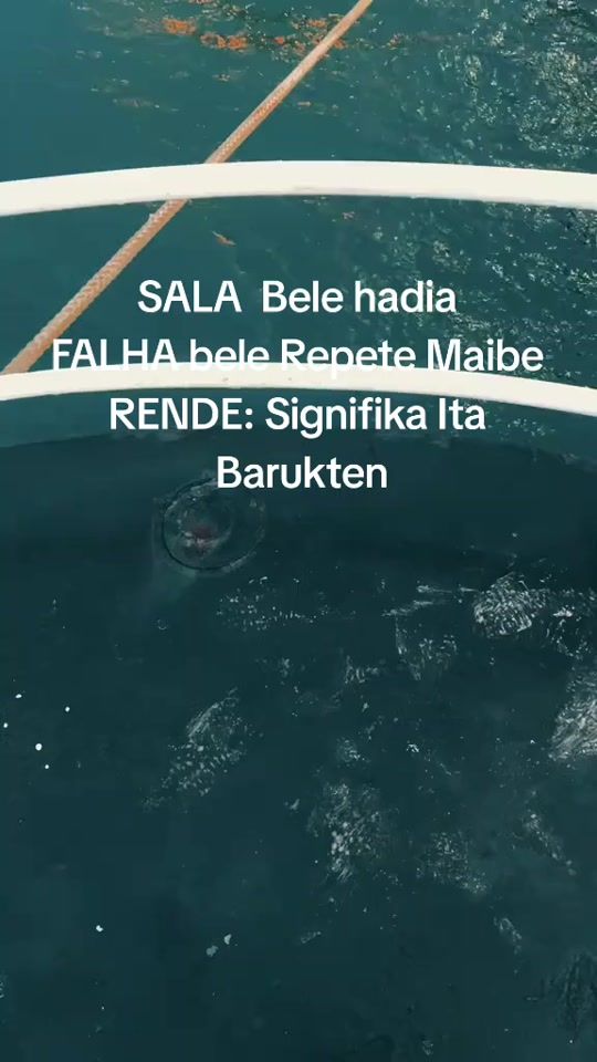 TikTok video thumbnail by balthylesthe