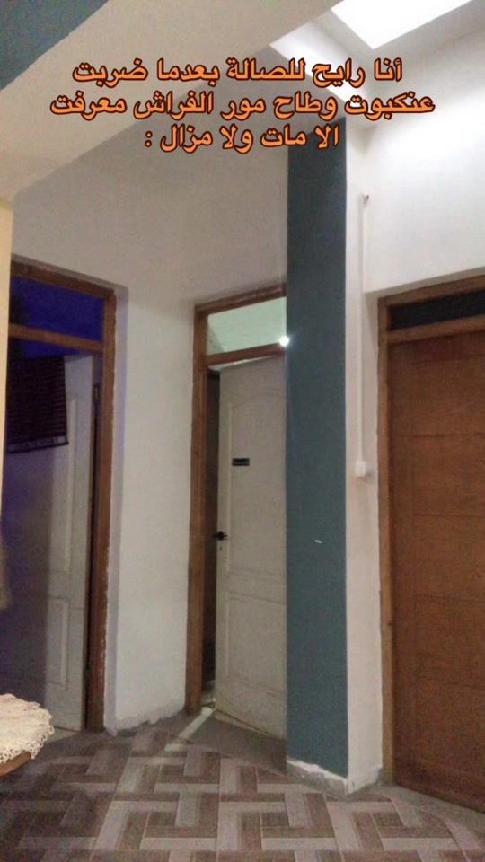 TikTok video thumbnail by mehdi.ghb