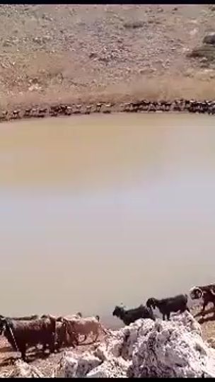 TikTok video thumbnail by odai_mohamad