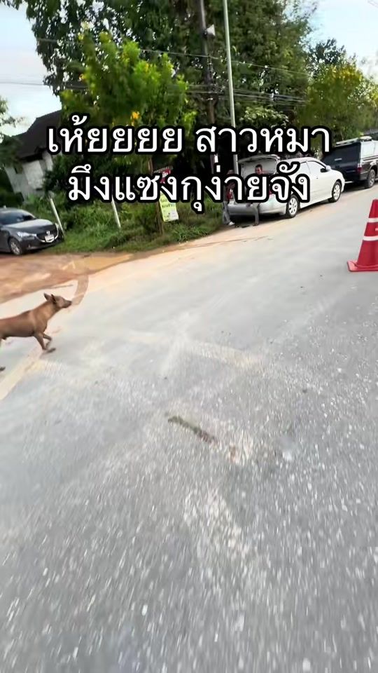 TikTok video thumbnail by sun__1998