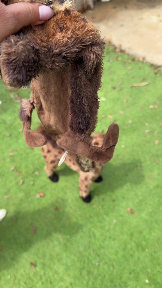 TikTok video thumbnail by ophir_dogtrainer