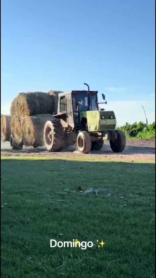 TikTok video thumbnail by shaielpfaffen05