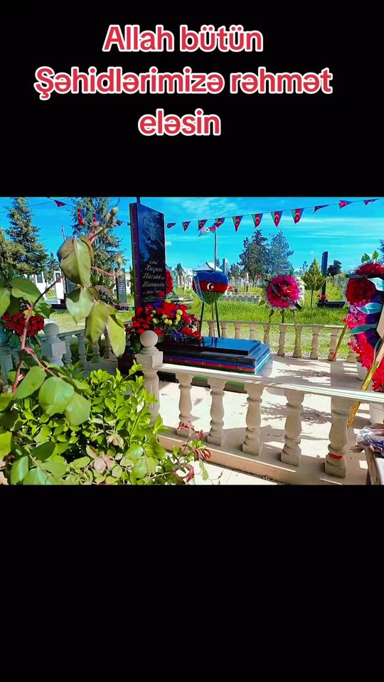 TikTok video thumbnail by v_e_t_e_nim