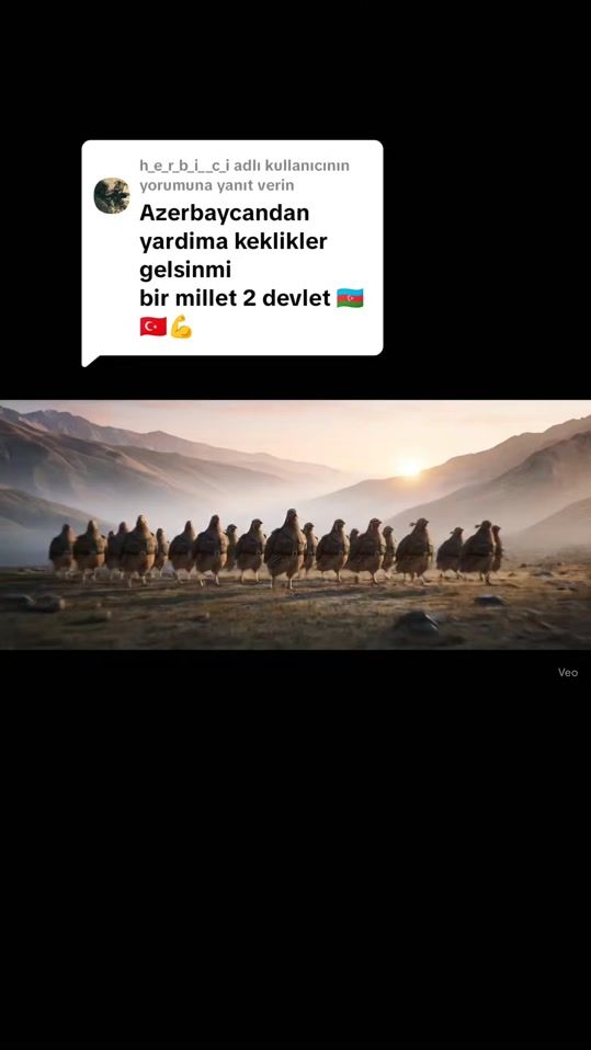 TikTok video thumbnail by absurtoloji.official