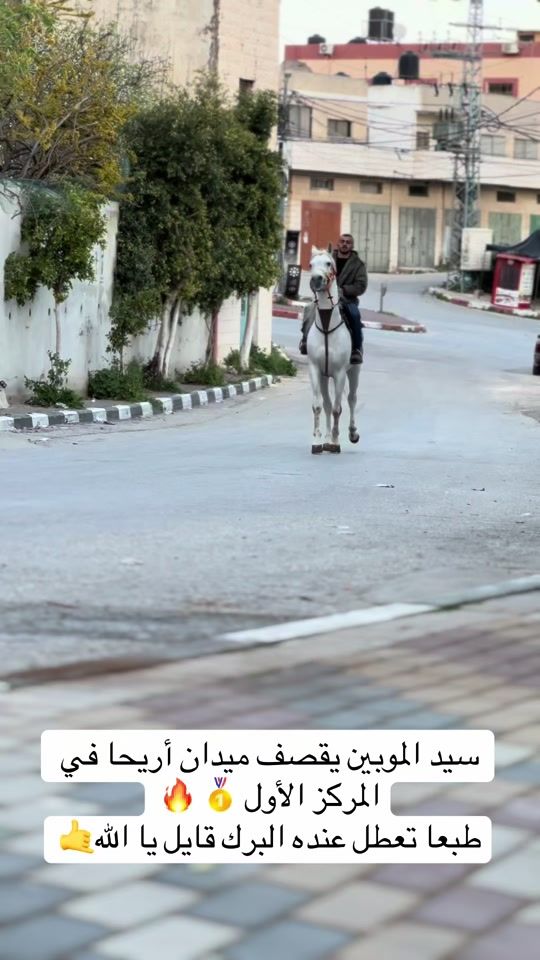 TikTok video thumbnail by 4salem7