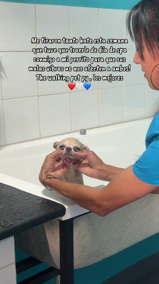 TikTok video thumbnail by veritozayas1