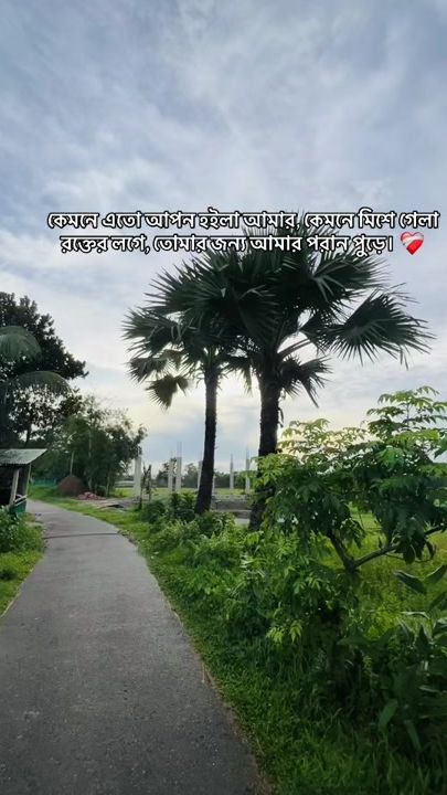 TikTok video thumbnail by glitch5503