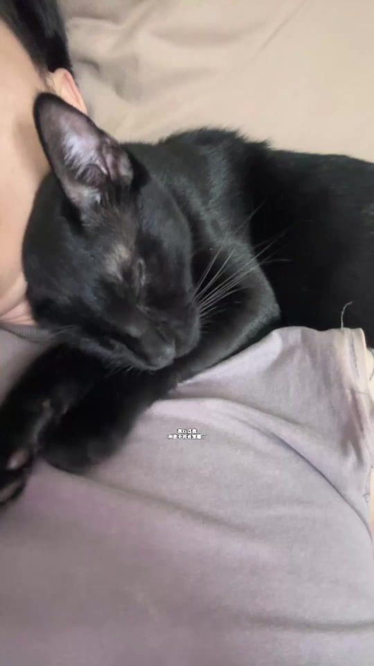 TikTok video thumbnail by cattt.w