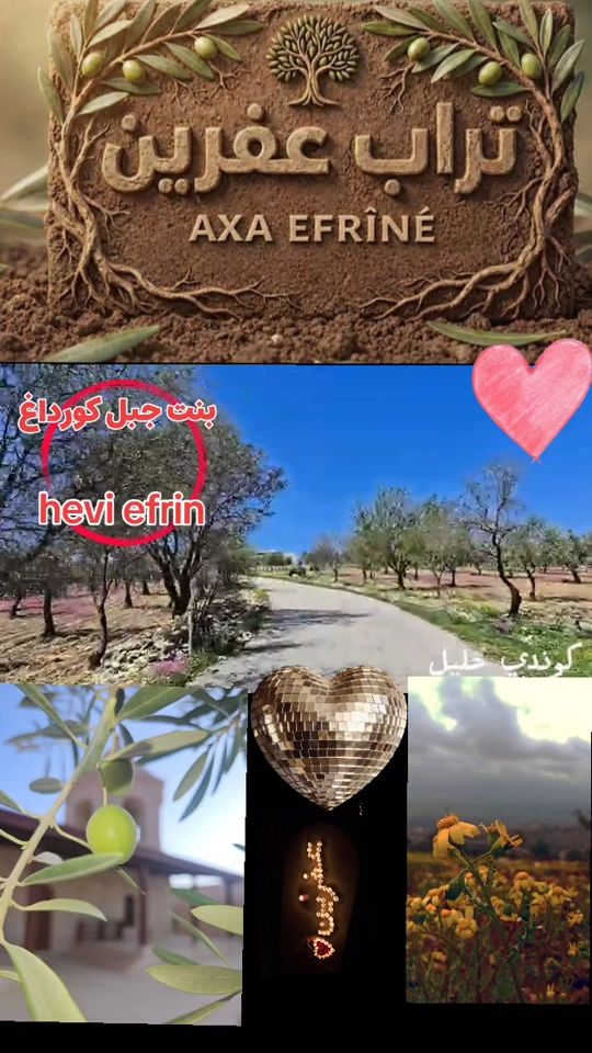 TikTok video thumbnail by hevi_efrin