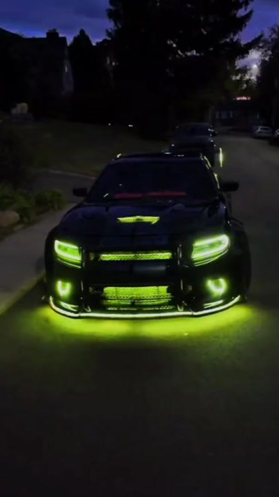 TikTok video thumbnail by temauiarii.lichen