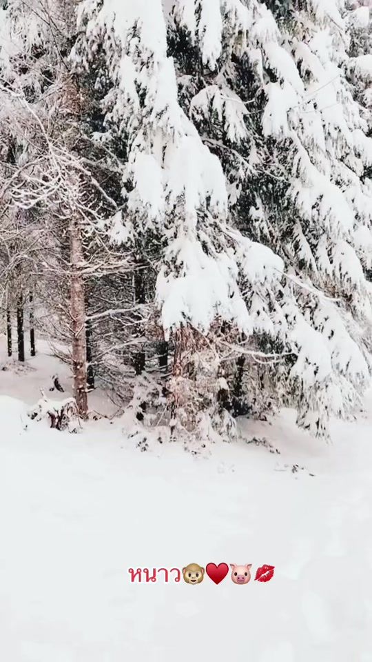 TikTok video thumbnail by mimi65984