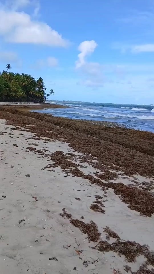 TikTok video thumbnail by marlambee