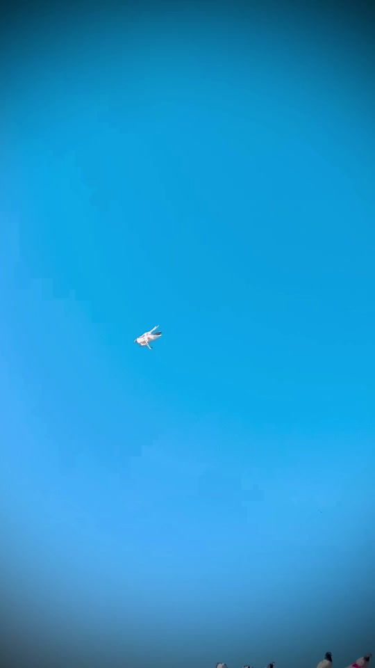 TikTok video thumbnail by kabutar488