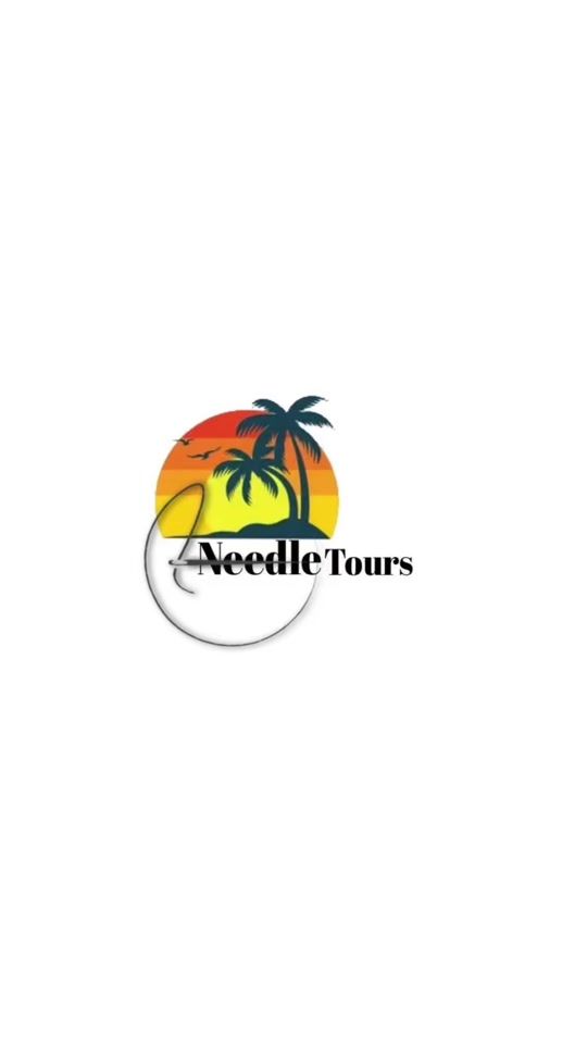 TikTok video thumbnail by needletours