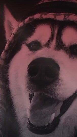 TikTok video thumbnail by x_tm127
