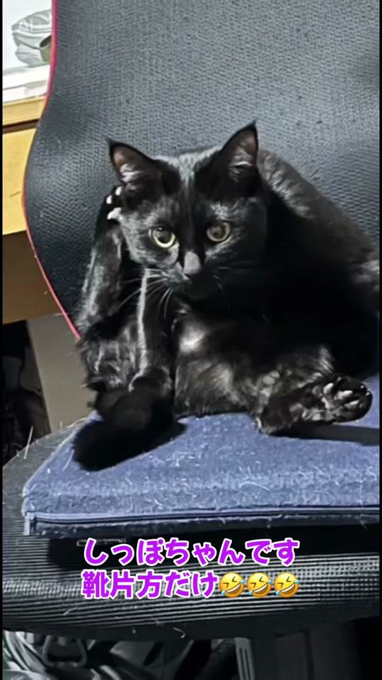 TikTok video thumbnail by kentaro6726