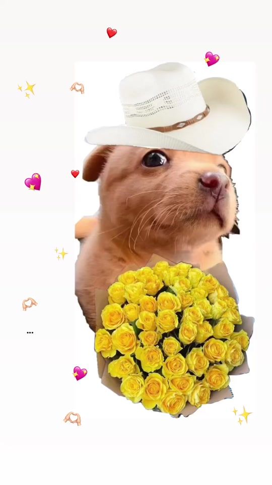 TikTok video thumbnail by compartee16
