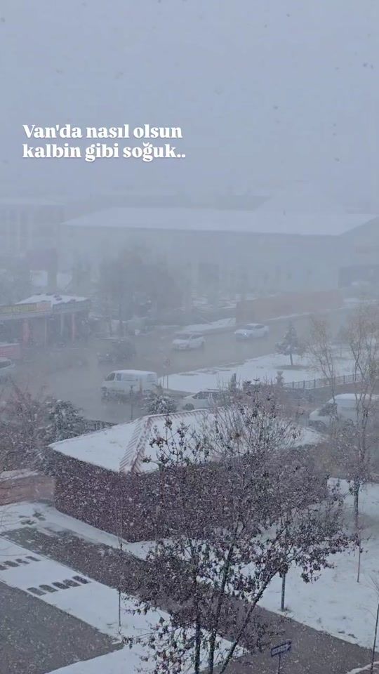 TikTok video thumbnail by vanyolunda