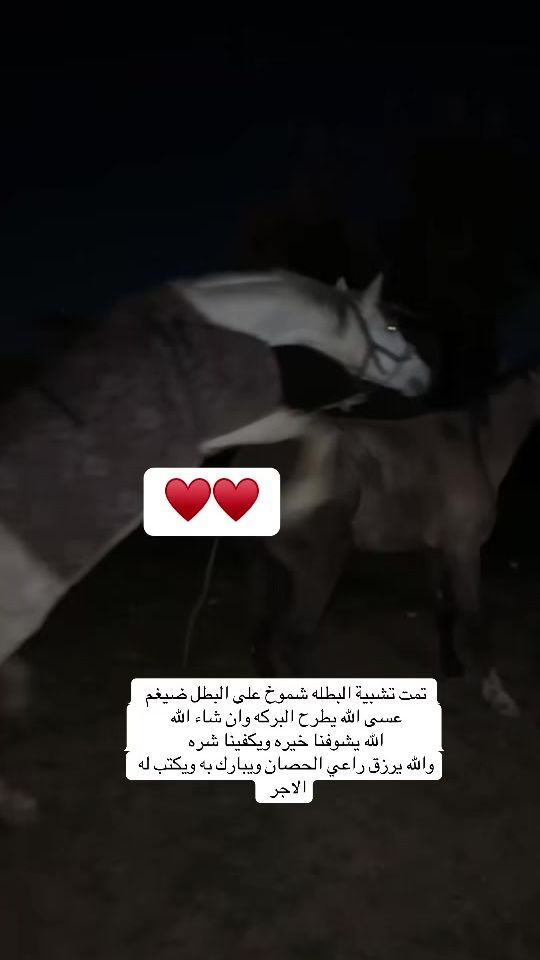 TikTok video thumbnail by mk_bmo