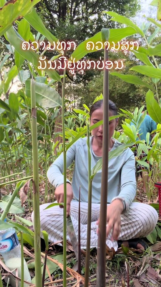 TikTok video thumbnail by .900006