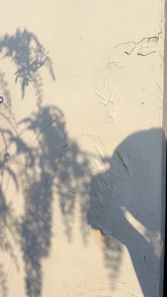 TikTok video thumbnail by kuo_wei_324