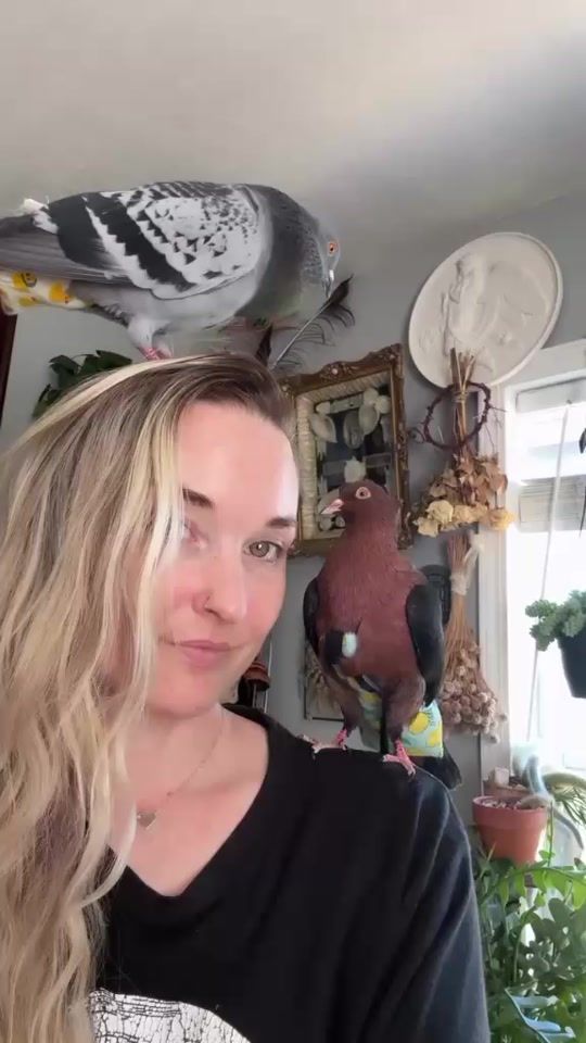 TikTok video thumbnail by us120mw