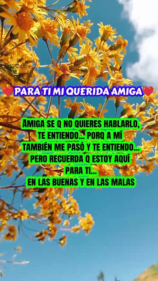 TikTok video thumbnail by luzsylopez