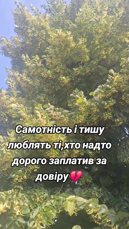 TikTok video thumbnail by user1511819460083