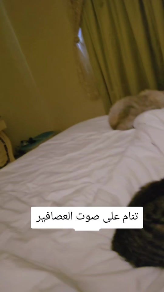 TikTok video thumbnail by luska_moroco