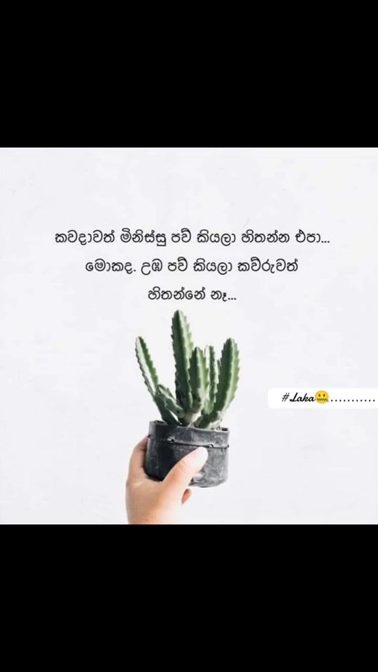 TikTok video thumbnail by laka1587