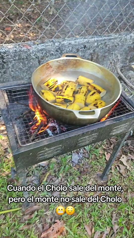 TikTok video thumbnail by ideleonq