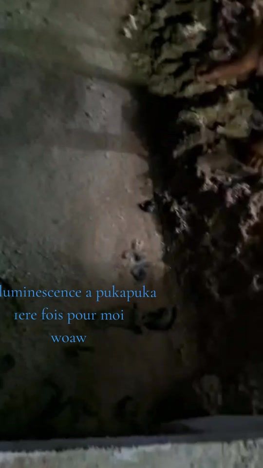 TikTok video thumbnail by irmaporutu