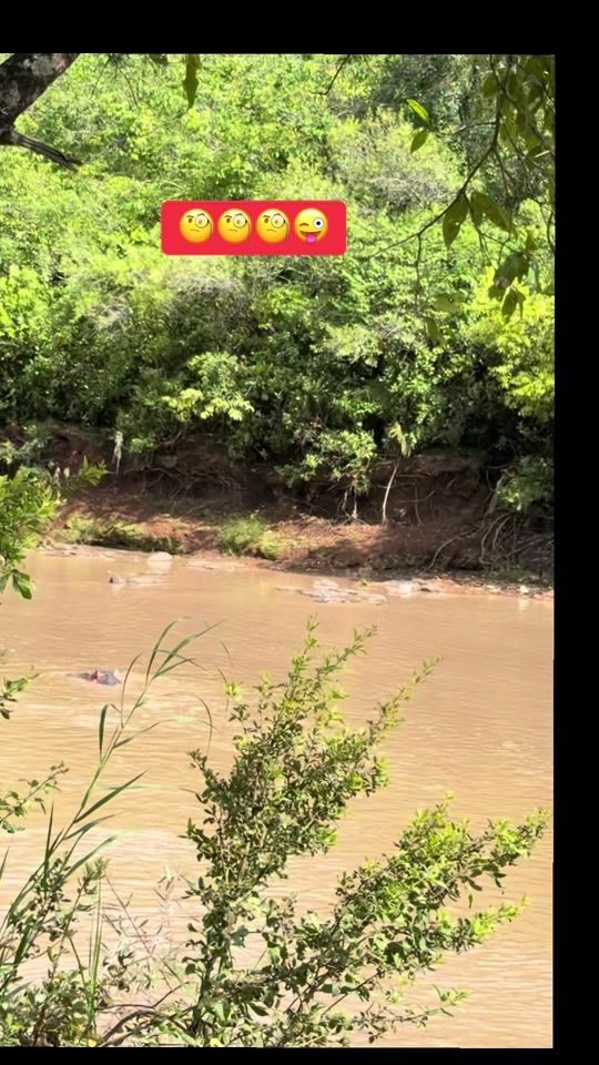 TikTok video thumbnail by tesfaa122119