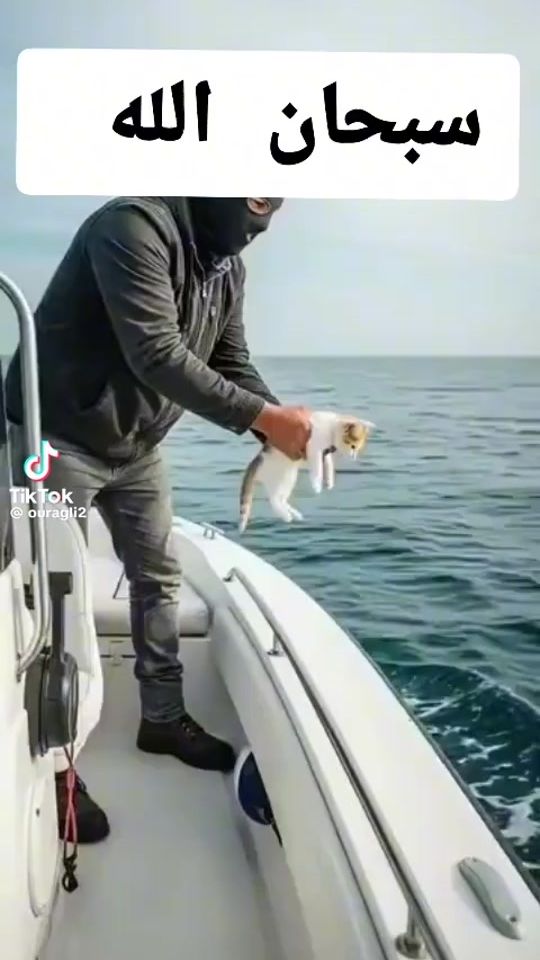 TikTok video thumbnail by x67881