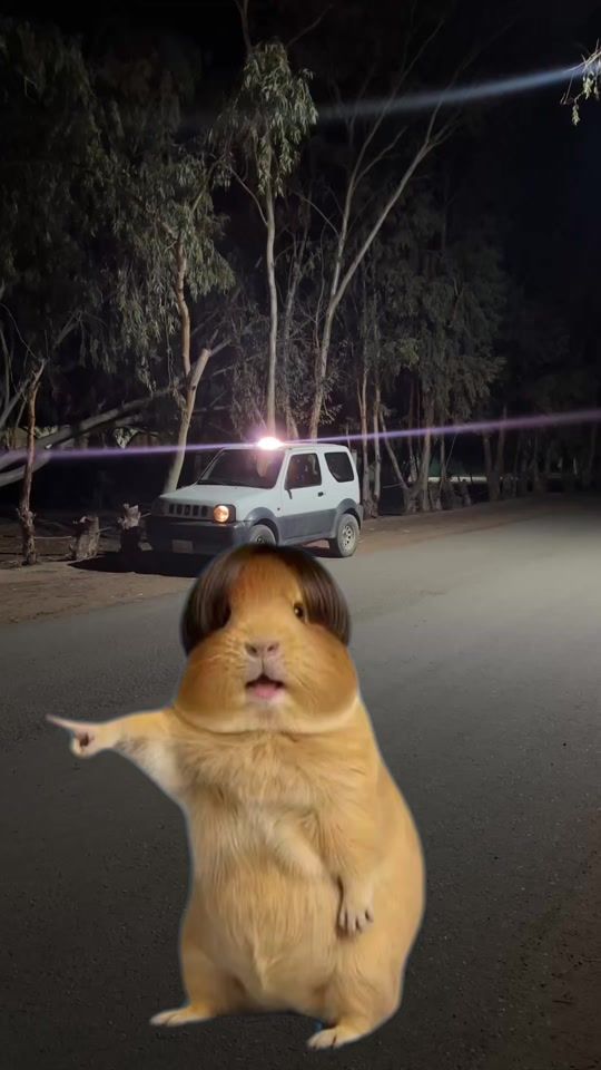 TikTok video thumbnail by eiap