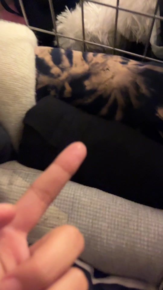 TikTok video thumbnail by imphimai