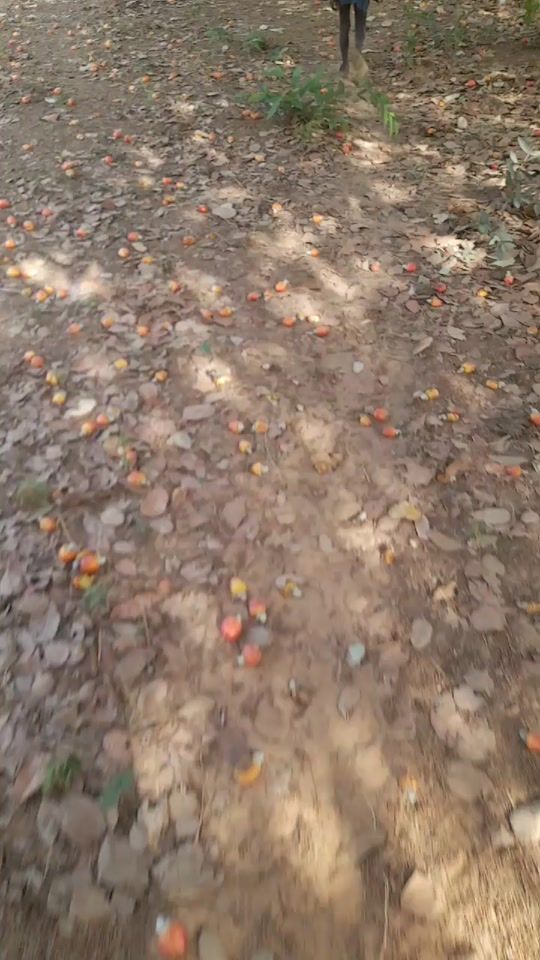 TikTok video thumbnail by cassama650