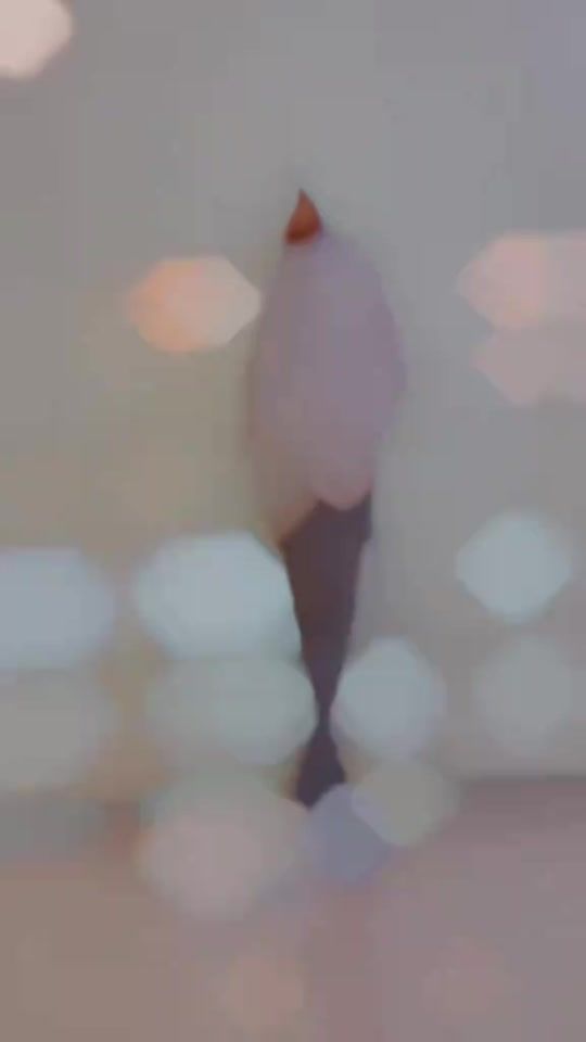 TikTok video thumbnail by shazz_0010