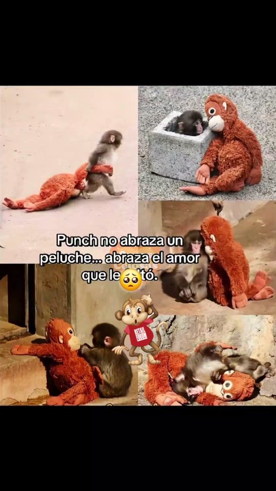 TikTok video thumbnail by yerbercuxil